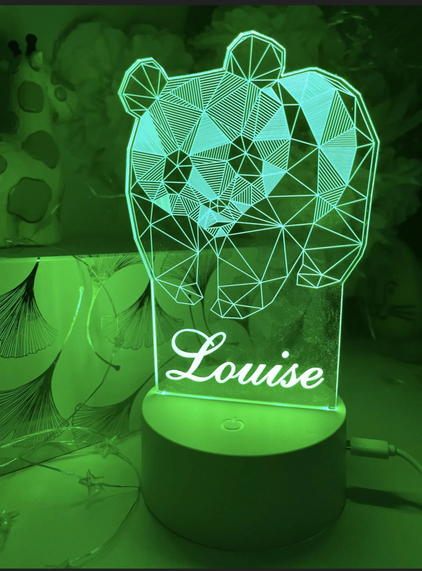 Personalised 3d Panda Acrylic Led Custom Night Light