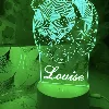 0 thumbnail Personalised-panda-3d-led-night-light