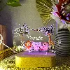 2 thumbnail Personalised-safari-animals-led-night-light