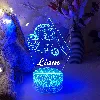 Personalised sports 3d cricket tribute led night light