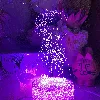 1 thumbnail Dream-catcher-led-night-light