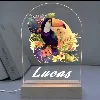 0 thumbnail Personalised-pecan-bird-led-night-light