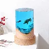 Wood resin turtle night light