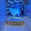 2 thumbnail Personalised-cartoon-princess-acrylic-led-custom-night-light