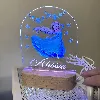 3 thumbnail Personalised-cartoon-princess-acrylic-led-custom-night-light